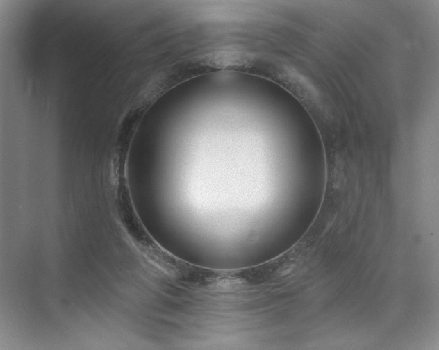 X0000073830210200608101212