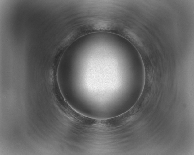 X0000073830211200608101212