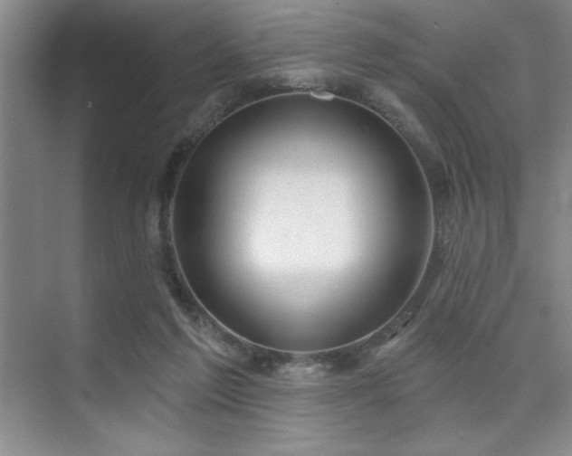 X0000073830213200608101212