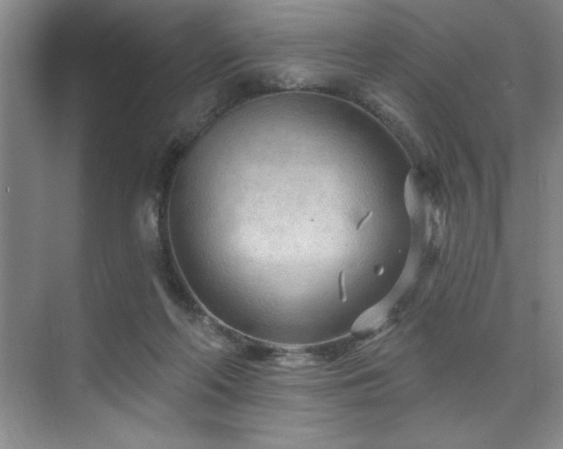 X0000073830214200608101212