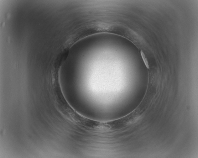 X0000073830215200608101212