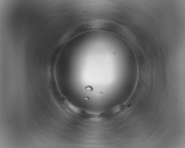 X0000073830216200608101212