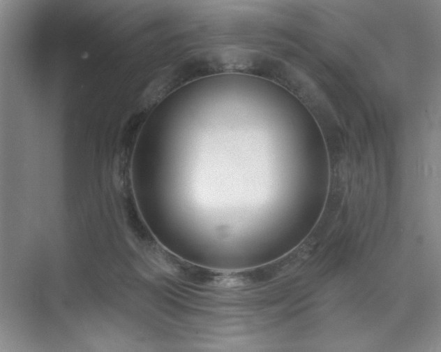 X0000073830218200608101212