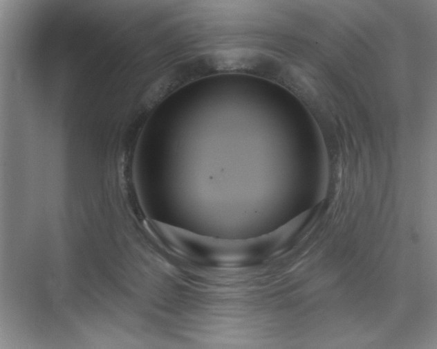 X0000073830219200608101212