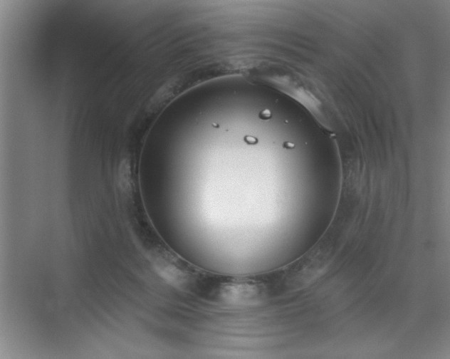 X0000073830220200608101212