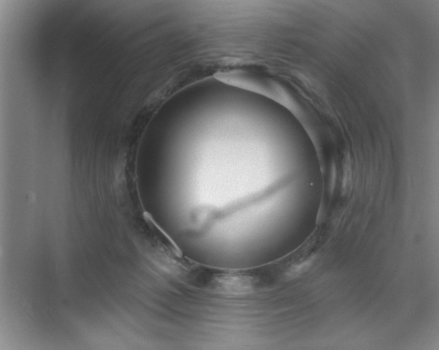 X0000073830221200608101212