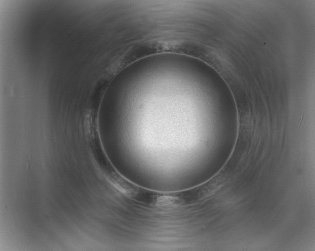 X0000073830222200608101212