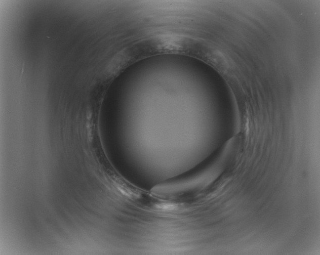 X0000073830223200608101212