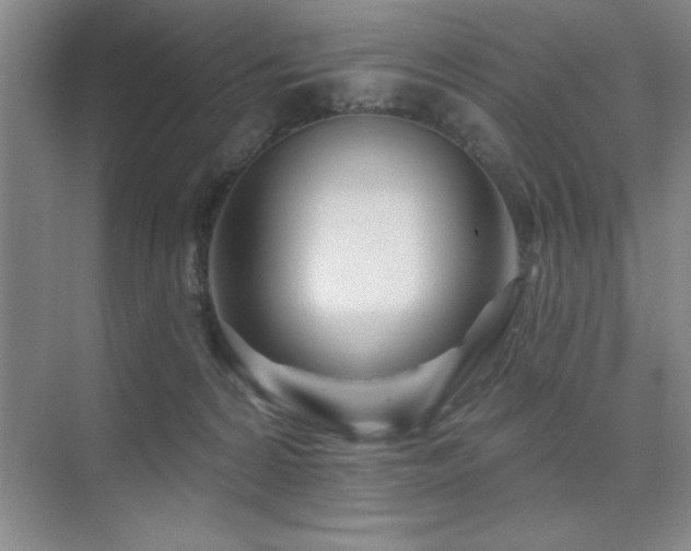 X0000073830224200608101212