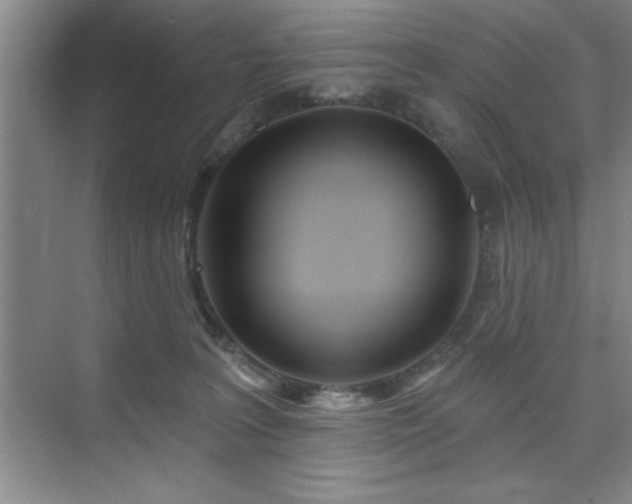 X0000073830227200608101212