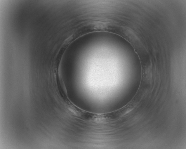 X0000073830228200608101212