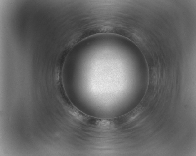 X0000073830230200608101212