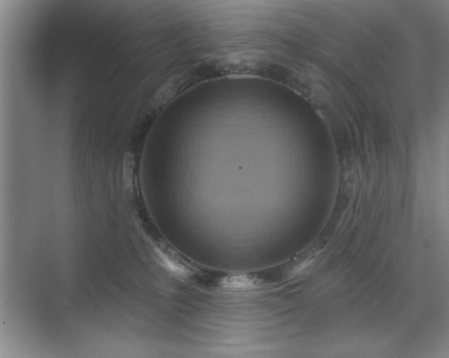 X0000073830231200608101212