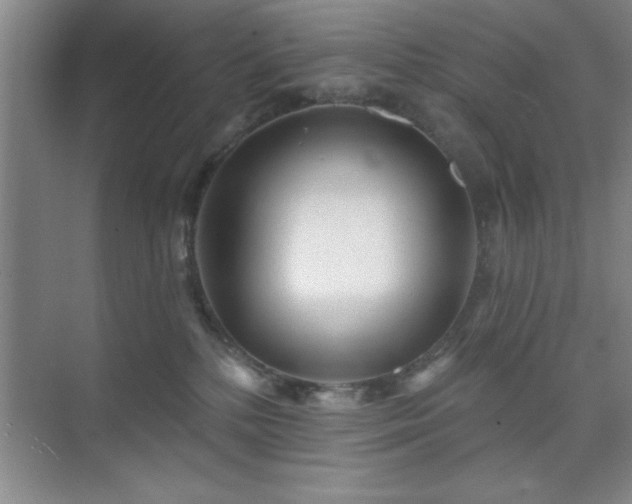 X0000073830232200608101211