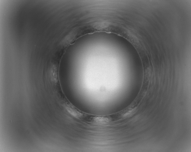 X0000073830234200608101211