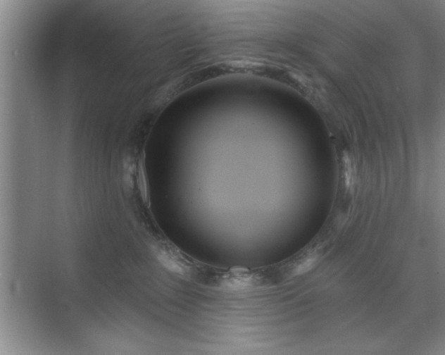 X0000073830235200608101211