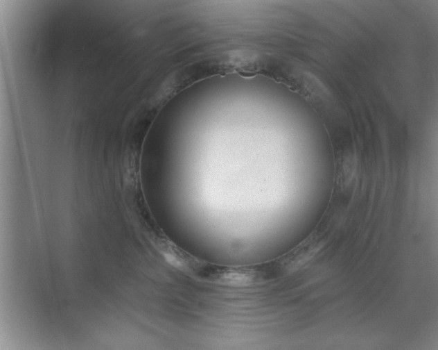 X0000073830236200608101211