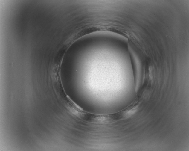 X0000073830237200608101211