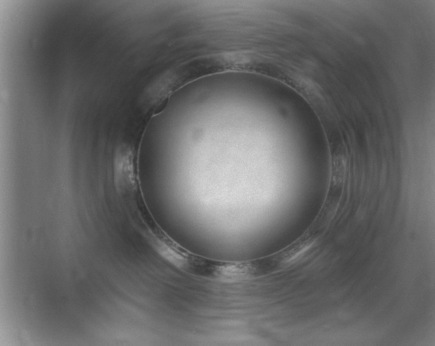 X0000073830238200608101211