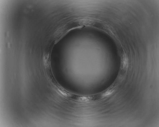 X0000073830239200608101211