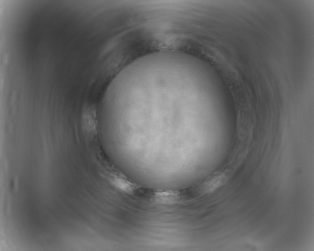 X0000073830240200608101211