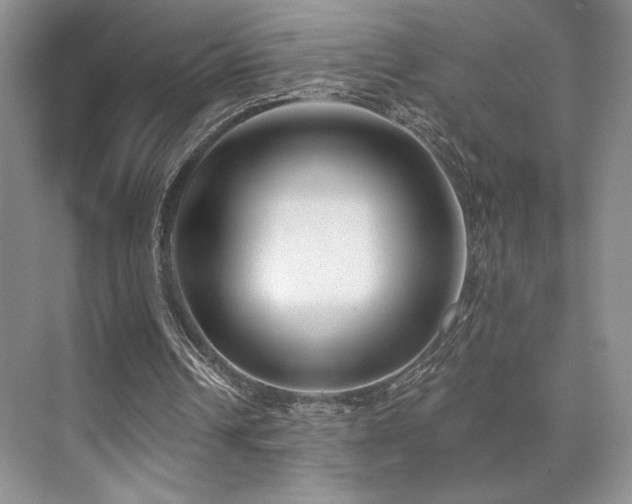 X0000073830242200608101211