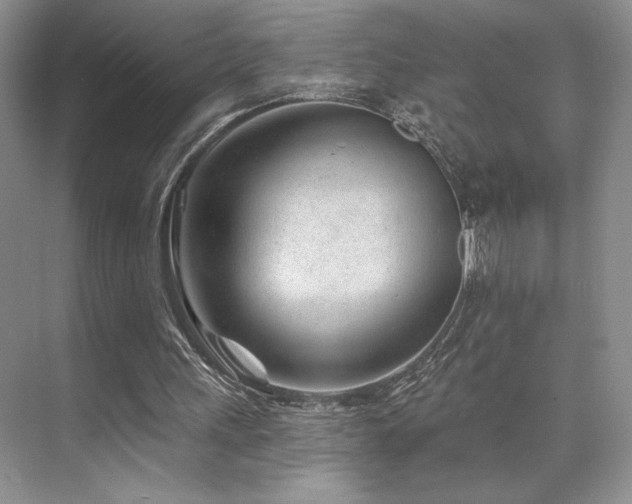 X0000073830243200608101211