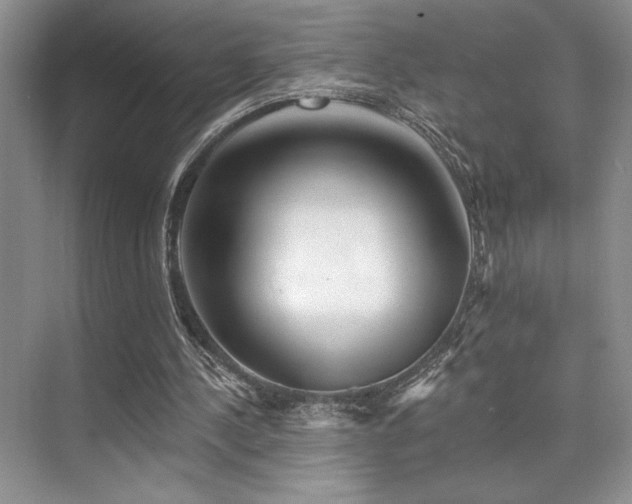 X0000073830244200608101211