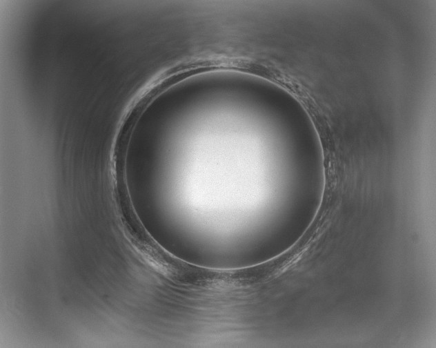 X0000073830246200608101211