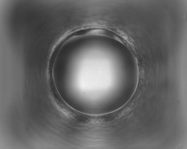 X0000073830248200608101211