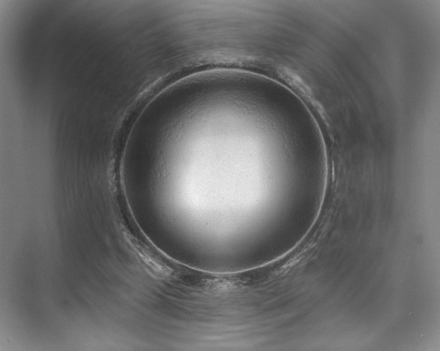 X0000073830249200608101211