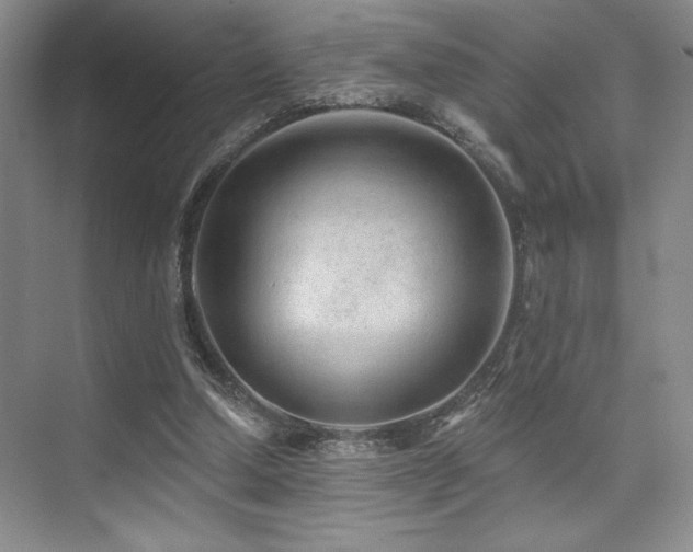 X0000073830250200608101211