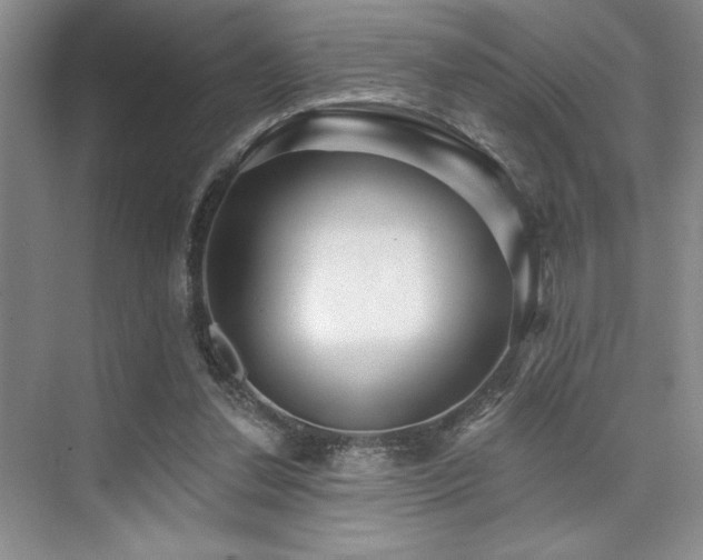 X0000073830252200608101211