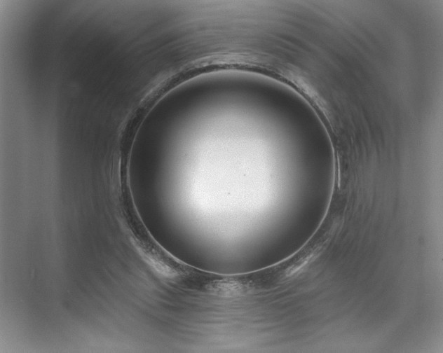 X0000073830253200608101211