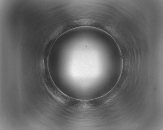 X0000073830254200608101211