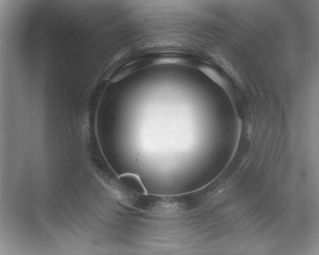 X0000073830260200608101211