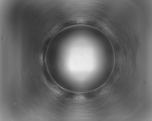 X0000073830262200608101211