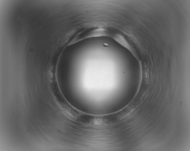 X0000073830264200608101211