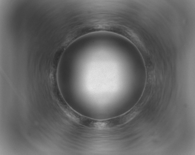 X0000073830265200608101211