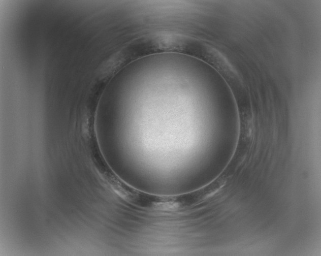 X0000073830266200608101211