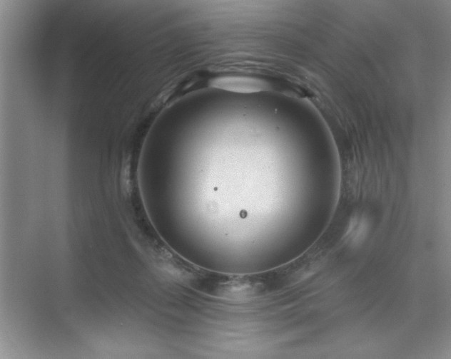 X0000073830267200608101211