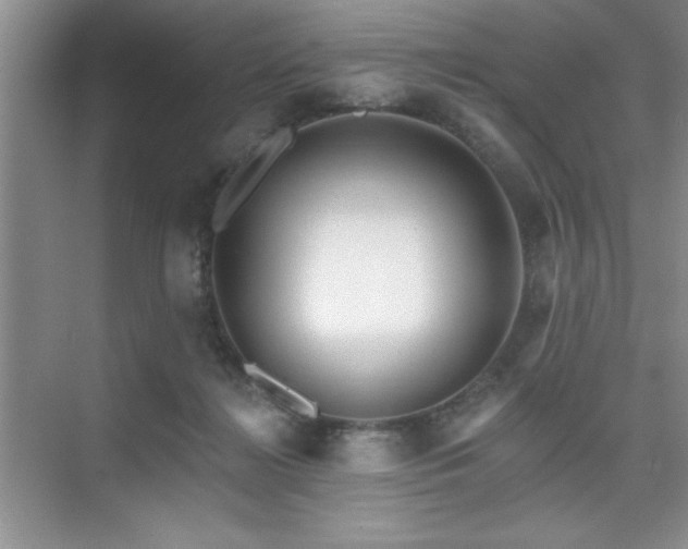 X0000073830268200608101211