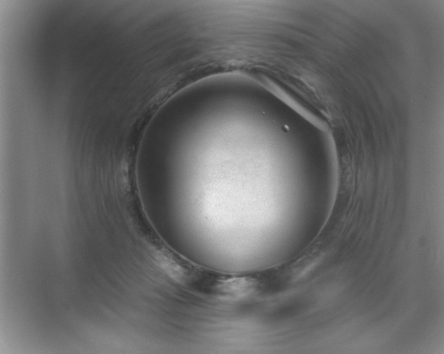 X0000073830269200608101211