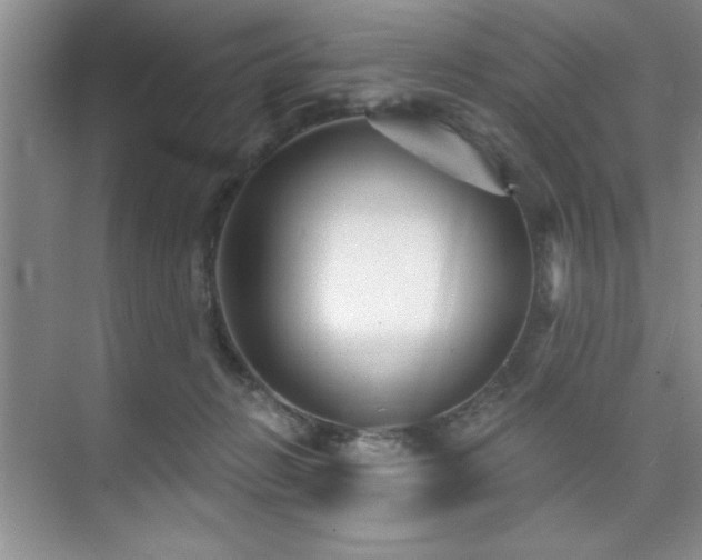 X0000073830270200608101211