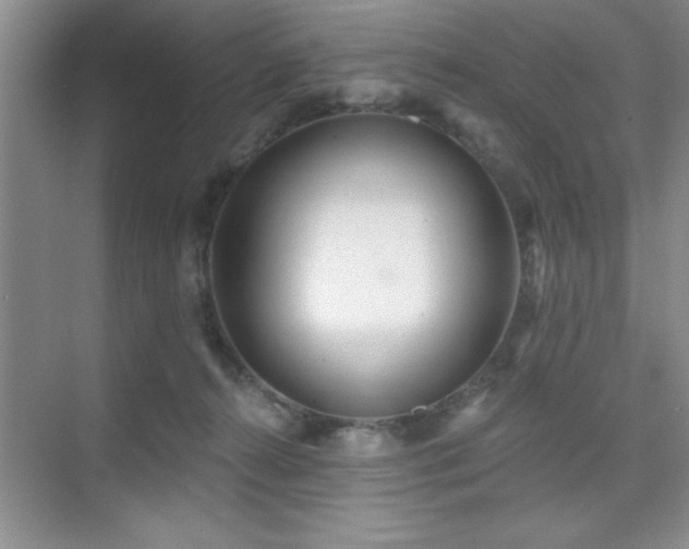 X0000073830272200608101211