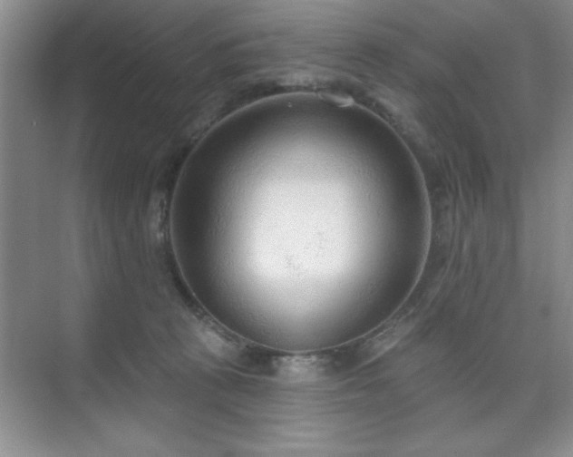 X0000073830273200608101211