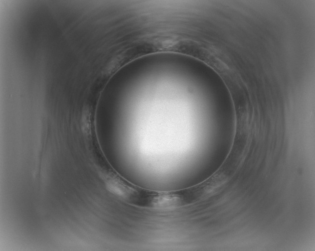 X0000073830274200608101211