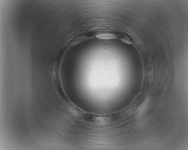 X0000073830277200608101211