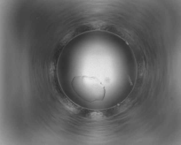 X0000073830279200608101211