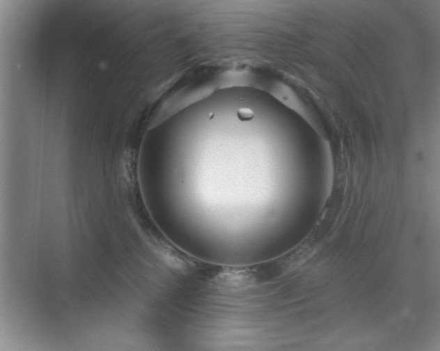 X0000073830280200608101211